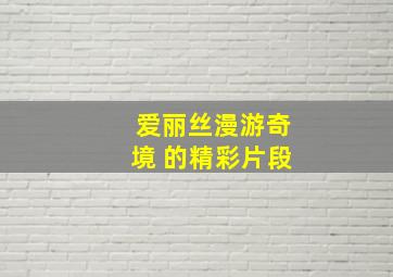 爱丽丝漫游奇境 的精彩片段